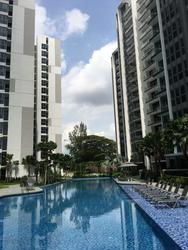 Bartley Ridge (D13), Condominium #142000892